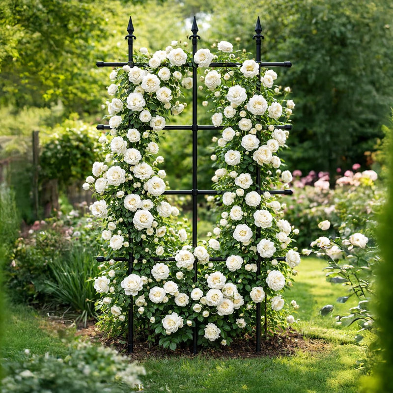  Metal Rose Trellis W90 x H150cm, 150cm x2