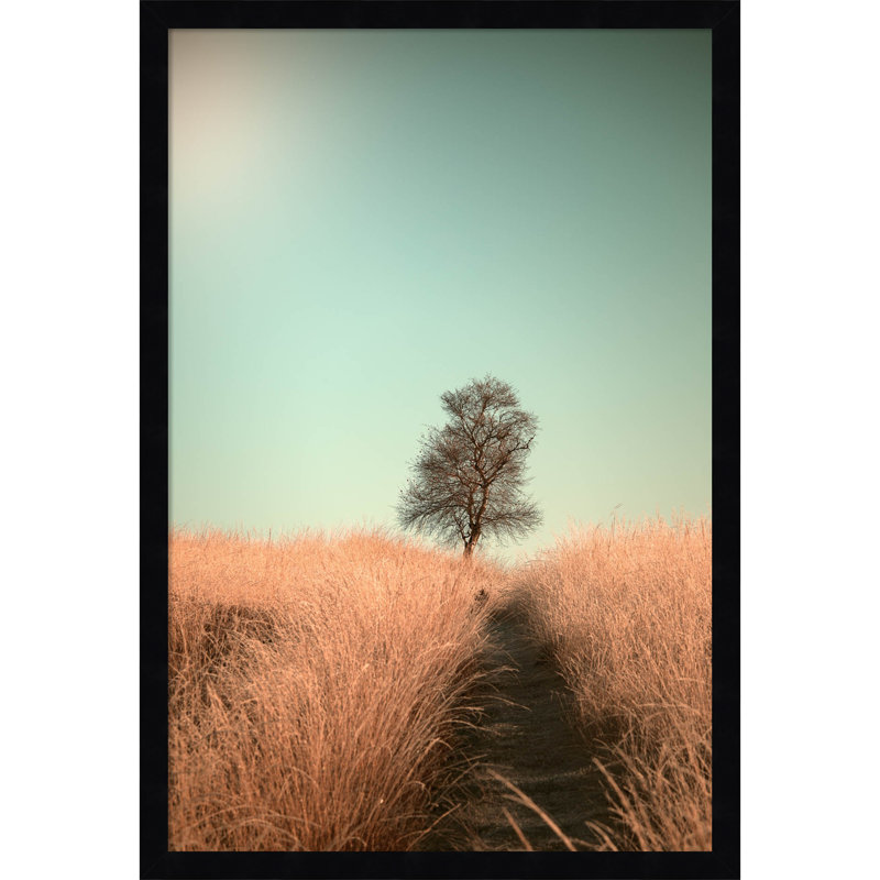 Grass And Path by Jaap Van Den, Black, 17" W x 25" H