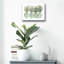«Simply Sage II», impression sans cadre-667329056