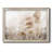 Soft Pampas Breeze " Soft Pampas Breeze "-829114780