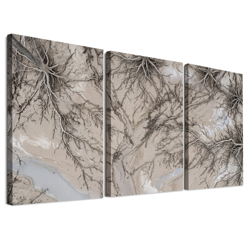 Vue aérienne des racines d'arbres et de la terre sèche - Ensemble de 3 toiles murales, 24"H x 16"W x 3pcs