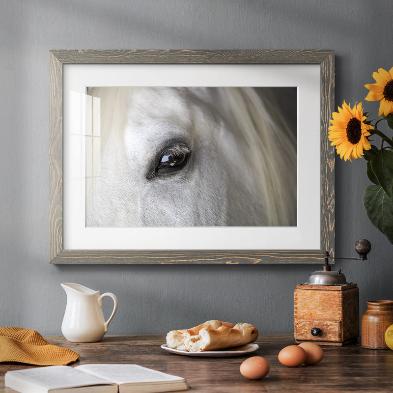 Balearic Island Horse, impression sur papier, Gris, H 28 po x l 42 po x P 1,5 po