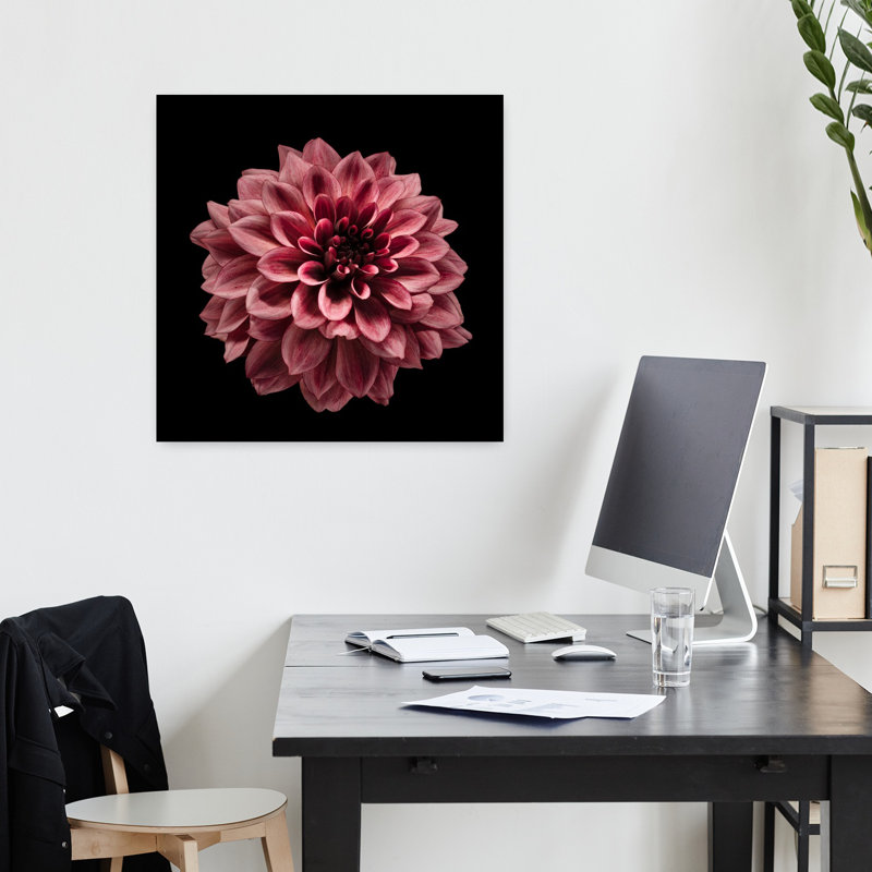 Art contemporain contemporain fleur d'été Dahlia, H 18 po x l 18 po