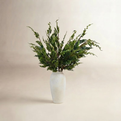 38" Norfolk Pine Branch