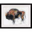 «Zubre, Bialowieza», reproduction d'art-239998798-239998799
