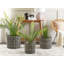 Niverville Plant Pot