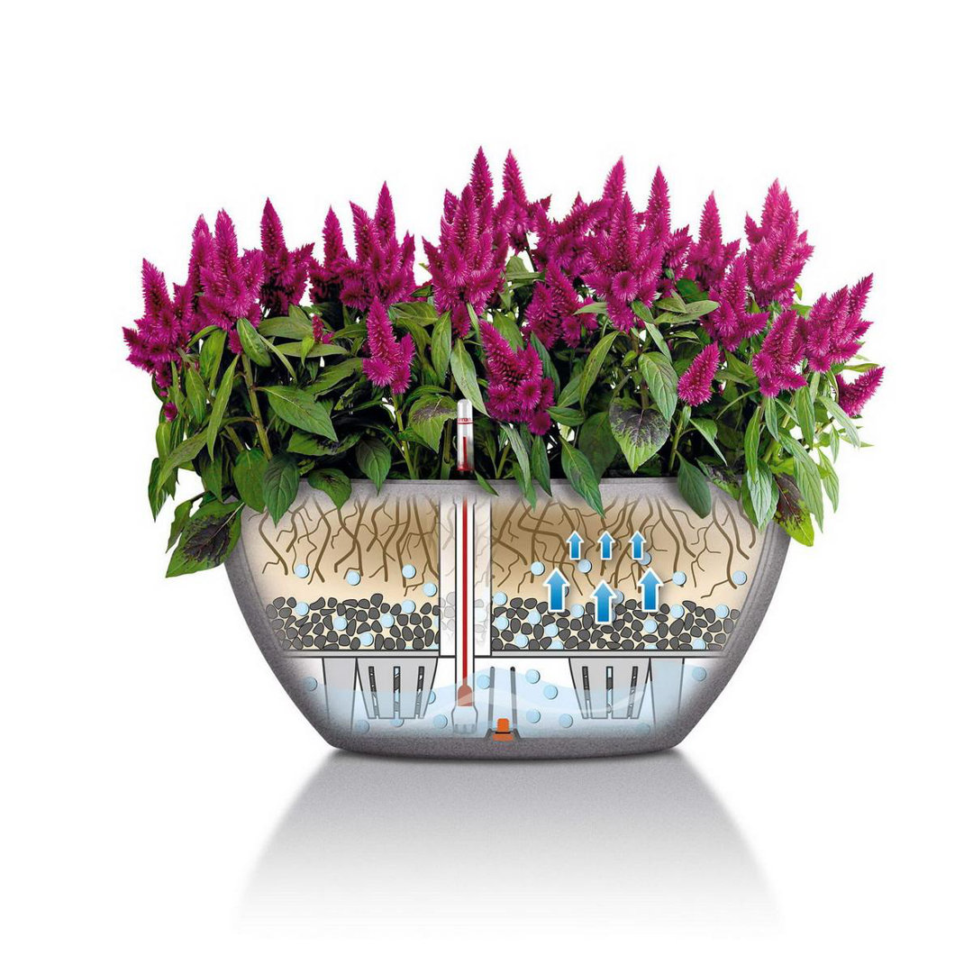 Pot Planter