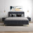 Kelii Upholstered Platform Bed-620420070-557059732