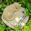 Pierre tombale pour chien 3D