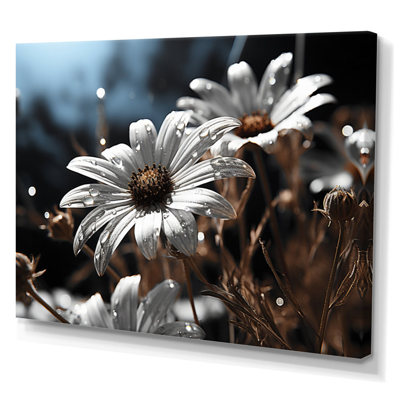 «Daisies Field Sunrise III», reproduction sur toile, 24" H x 32" W, Toile tendue