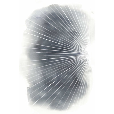 Rays I