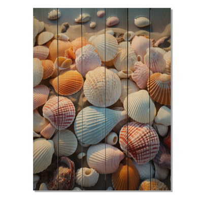 «Beach Photo Sunlit Shells II» sur bois