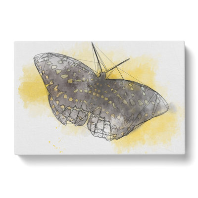Butterfly Vol.4 Sketch - Wrapped Canvas Print