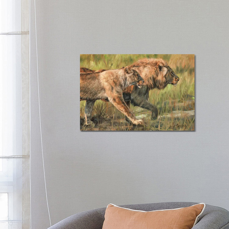 Lion And Lioness by David Stribbling - Wrapped Canvas Print, 66.04 cm H x 45.72 cm W x 1.91 cm D