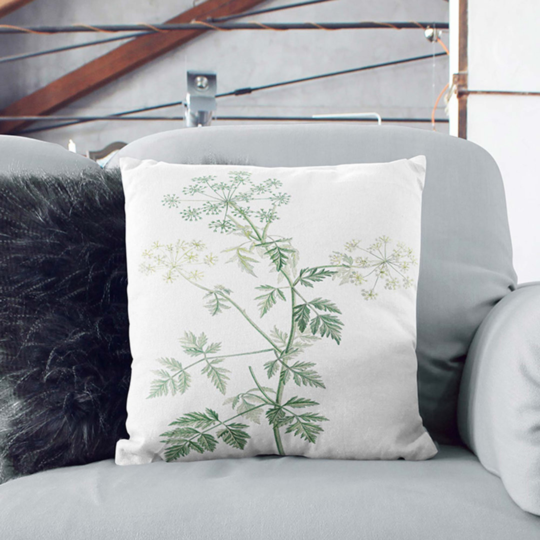 Hemlock Flowers by Pierre-Joseph Redoute Cushion with Filling