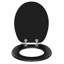 Toilet Seat, Soft-Close Toilet Lid, With Quick Release Function For Easy Cleaning, Easy Assembly, Mdf, Matte Black