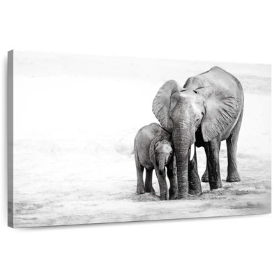 Éléphants câlins Brampt