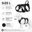 Harnais pour chien sans traction