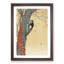 Great Spotted Woodpecker by Ohara Koson - Framed Print-55736174-55736175