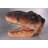 T-Rex Dinosaur Head Medium Life Size Statue