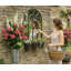 Walpole Metal Arch Mirror
