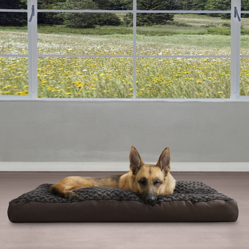 Ultra Plush Deluxe Fiber Pillow Pet Bed, Extra Large (40" W x 32" D x 4" H), Chocolate