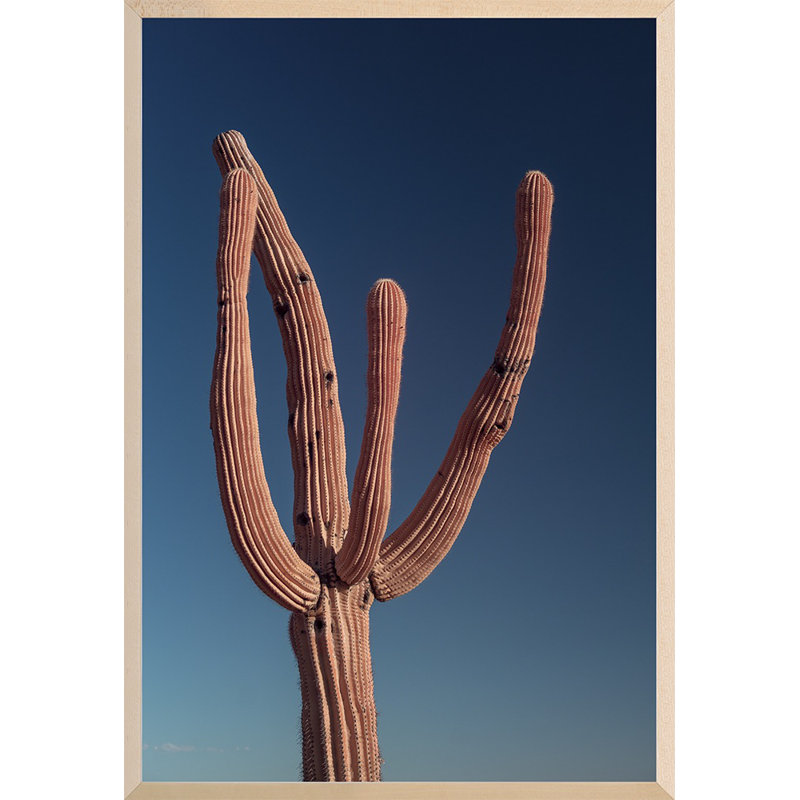 Phoenix, Arizona 14 Print by August Studios