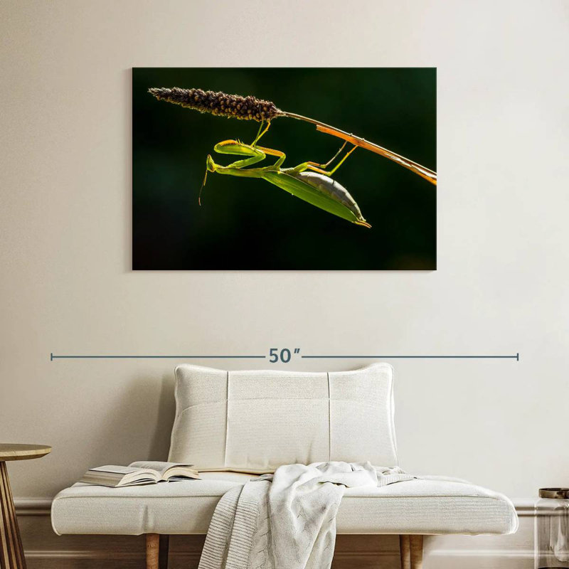 Hanging Praying Mantis, 26" H x 39" W