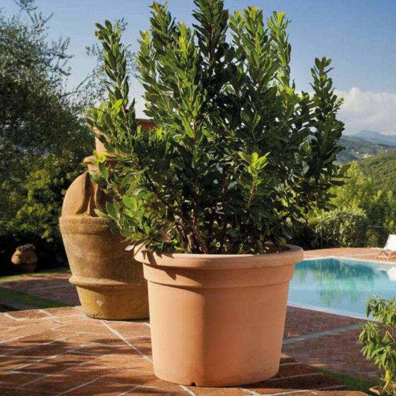 Shippenville Pot Planter, Impruneta, 45cm H x 60cm W x 60cm D
