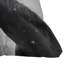 Coussin extérieur Chelsea Victoria Winter Horse-123035200-123035204