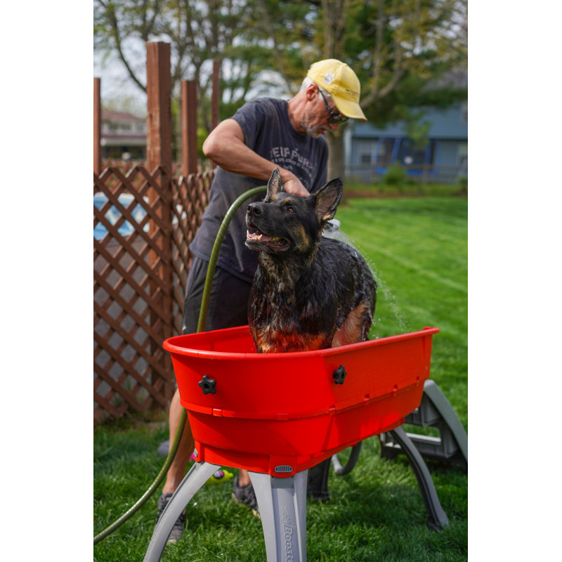 15'' H x 21.25'' W x 45'' D Plastic Dog Grooming Tub, Red