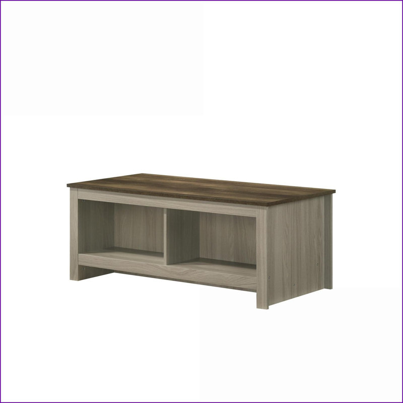 Table basse Nyla en chêne gris avec plateau en noyer contrastant - tablettes ouvertes pour le salon, assemblage facile