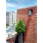 Izzie 2 - Bulb Integrated LED Outdoor Wall Lantern-2110009885-2110009883