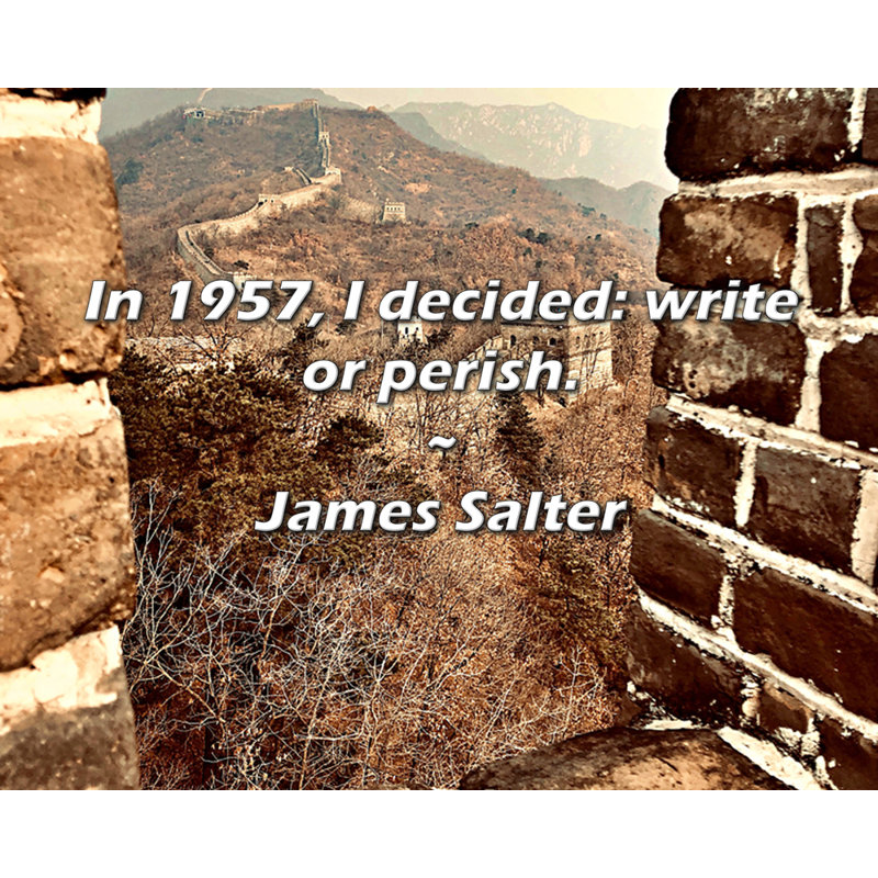 James Salter Citation: En 1957, j'ai décidé: écrire ou périr.