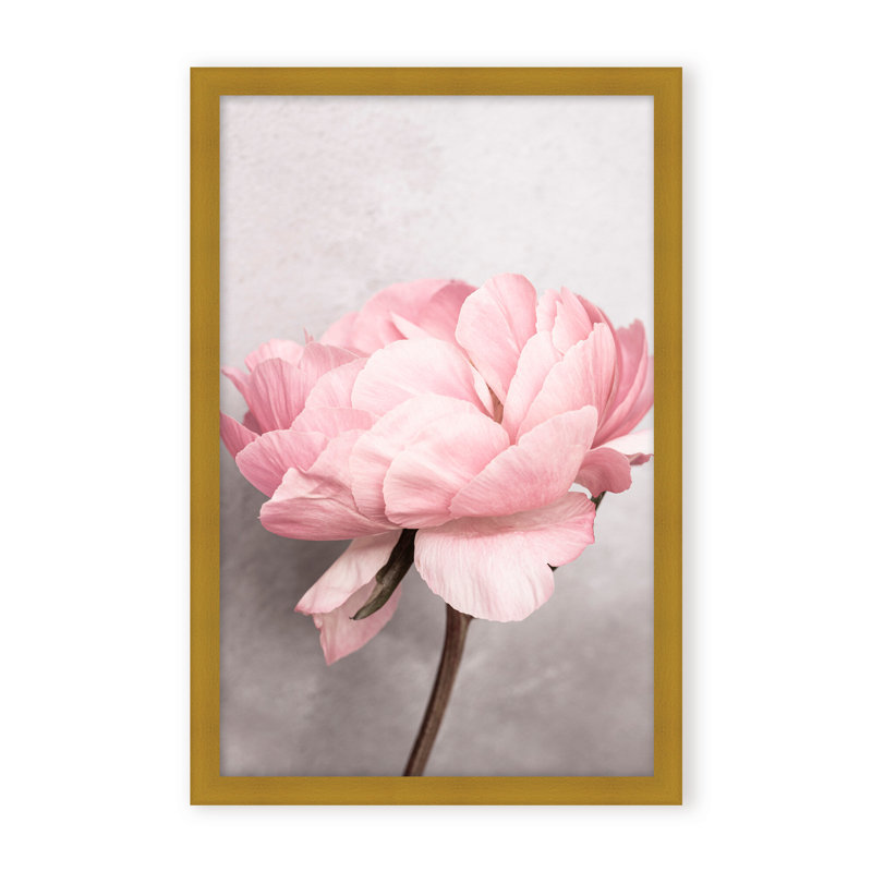 Nature Inspired Peony by  - Picture Frame Photograph on Paper, 24" H x 16" W x 1.125" D, Black, Framed Matted Print