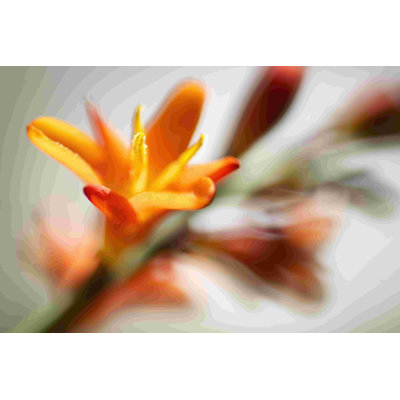 Soleil ouvert I