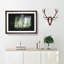 Bird Flying By The Waterfall - Single Picture Frame Print on MDF-56890864-56890865