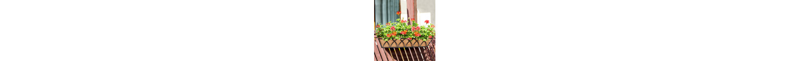 Choua Metal Railing Planter-87788154