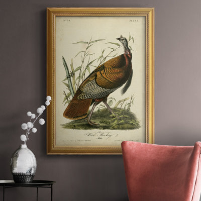 Audubon Wild Turkey " Audubon Wild Turkey "