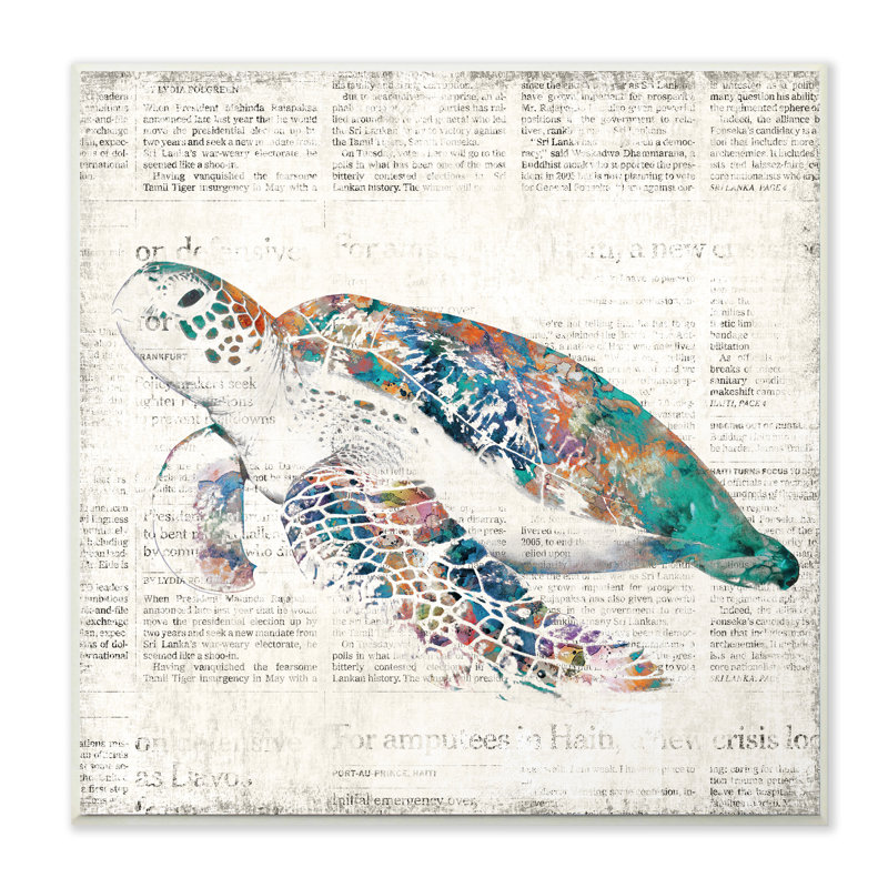 « sea turtle on journal vieilli », impression