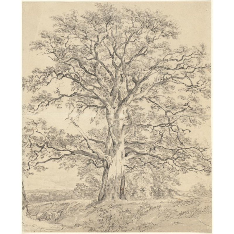 «A Great Oak Tree» par John Constable - Art mural sur toile tendue avec châssis, H 24 po x l 17 po