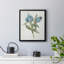 «Blue Tulip Picks I», toile encadrée de qualité supérieure - prête à être accrochée-1286621093