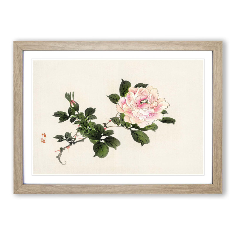 Pink Peony Flower by Kono Bairei - Framed Print, 35cm H x 50cm W x 2cm D, Oak