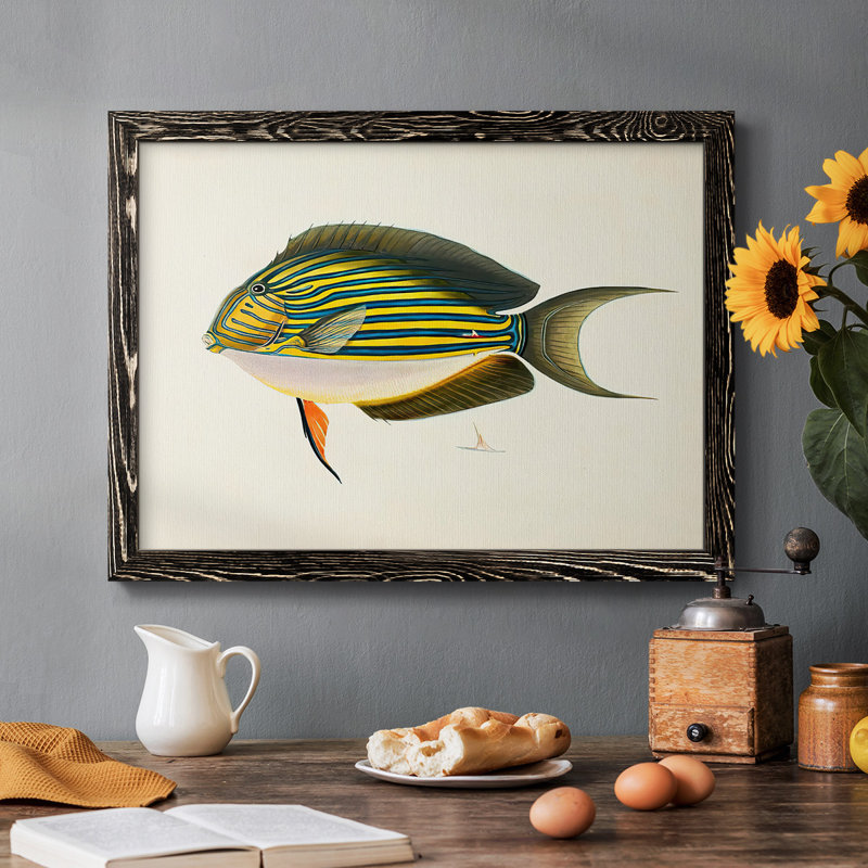«Tropical Fish Collection I», reproduction sur toile, H 18 po x l 26 po, Noir