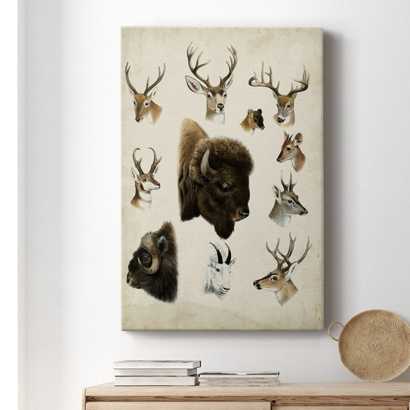 Western Animal Species I - Toile tendue avec châssis de qualité supérieure - prête à être accrochée
