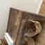 Customer photo 2 of 3