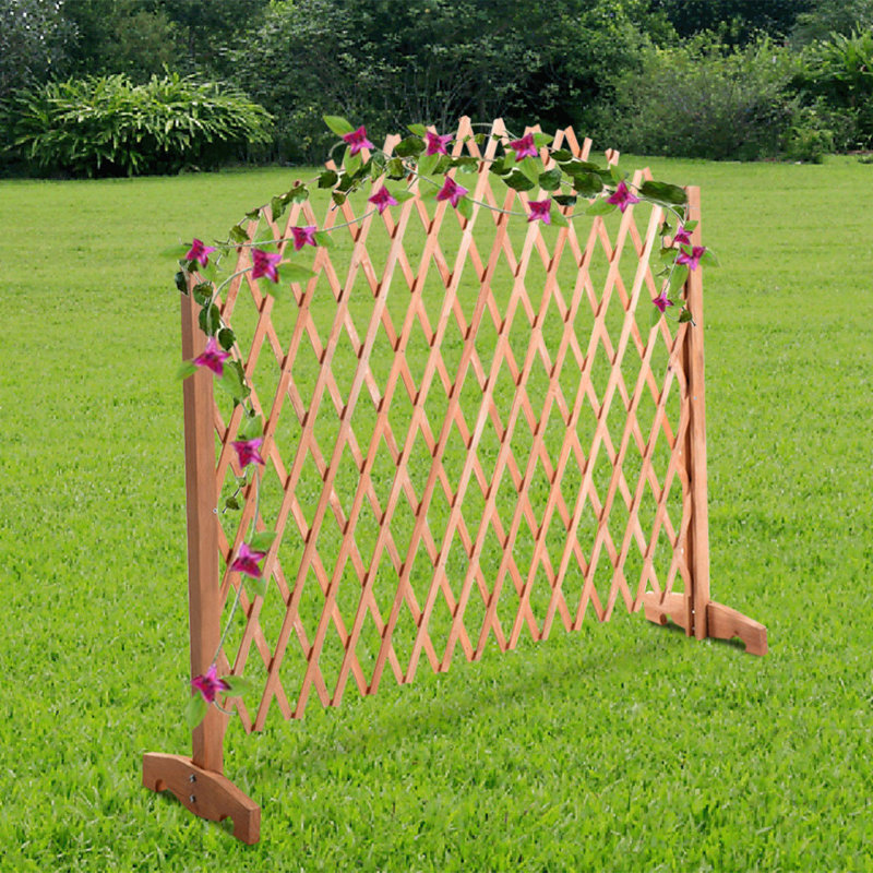 Dobbins 70.87 cm H x 46.46 cm W