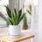 Set of 2 Modern Honeycomb Embossed Ceramic Planter Pots - 4" & 6" with Drainage Hole and Saucer
