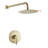 All-In-One Kit with Rough in-Valve-63249249