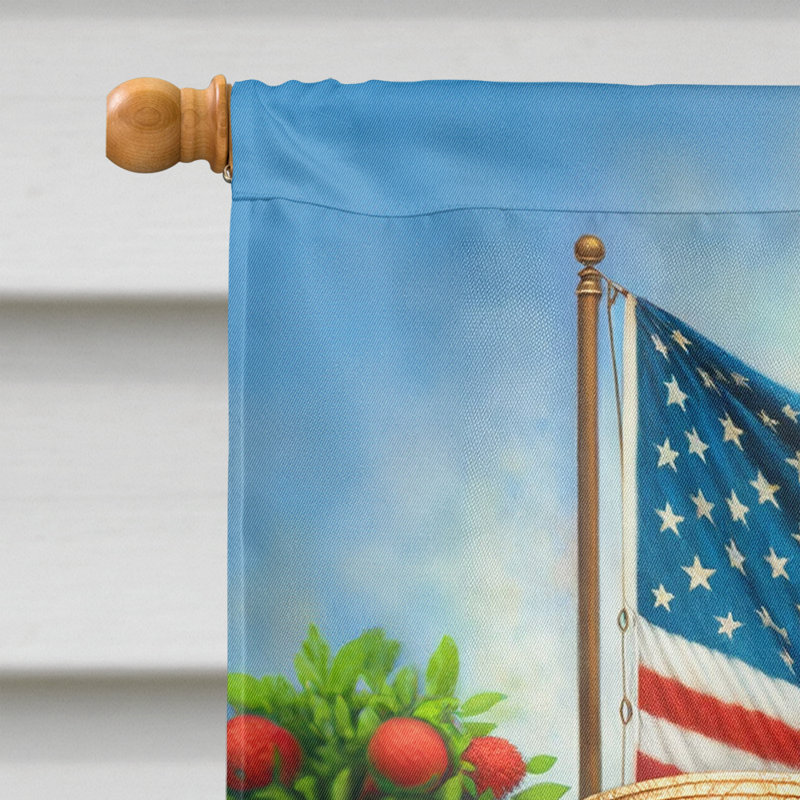Drapeau «All American House», Border Terrier